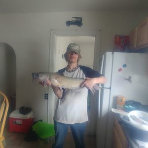 Meet your Posher, Jesse